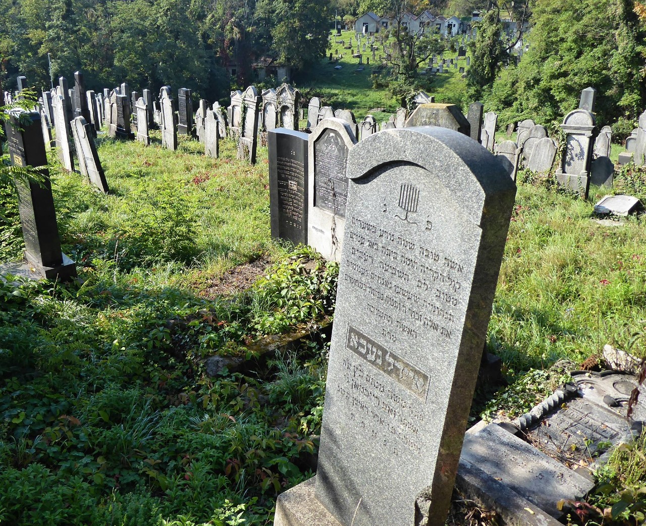 Verejný cintorín