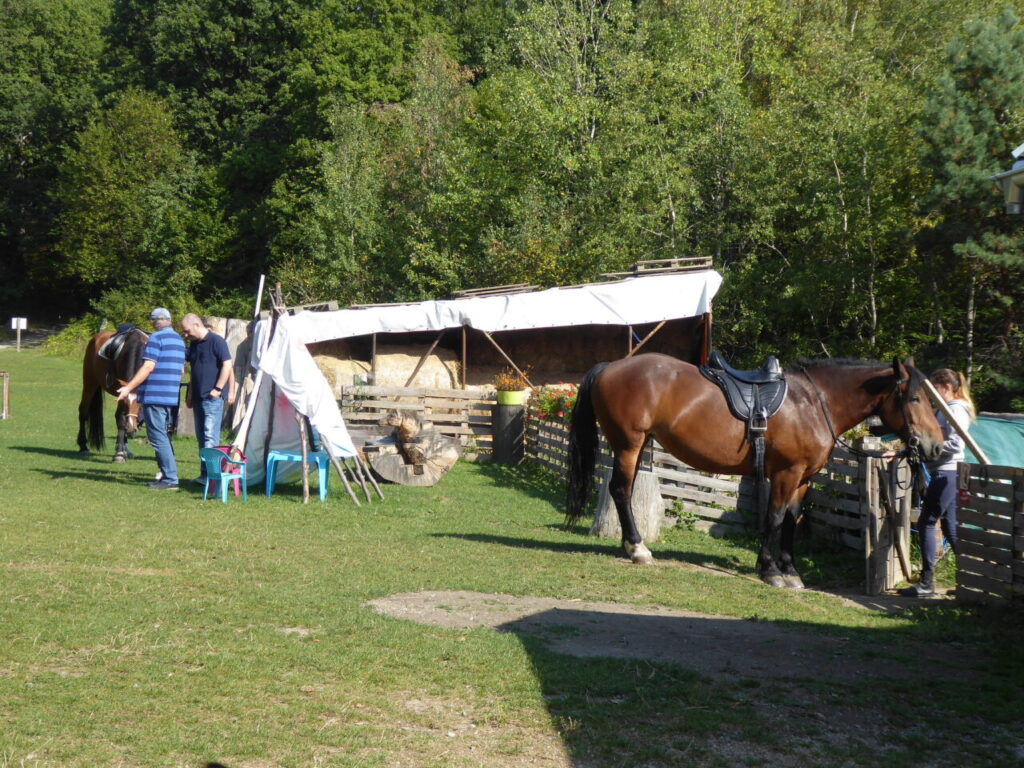 Koníky na chate Hrešná